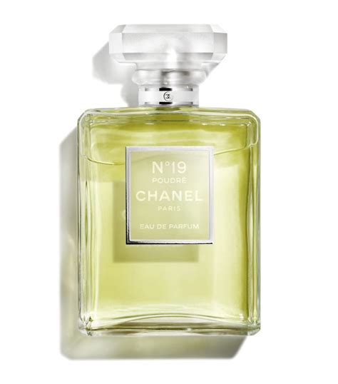 parfum chanel n 19 poudre|Chanel 19 perfume offers.